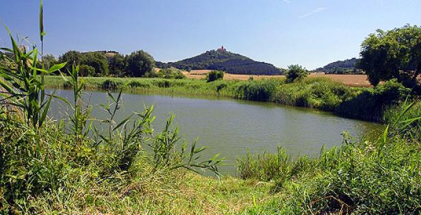 Landschaft im Thüringer Burgenland Drei Gleichen