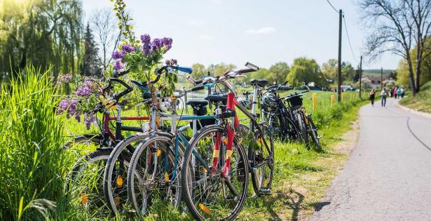 Fahrräder am Radweg